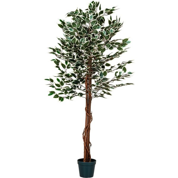 PLANTASIA® - Großer grüner Ficus Baum, Kunstbaum, 160cm®