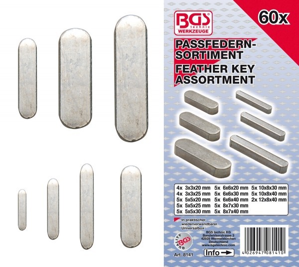 BGS - Passfedern-Sortiment 60-tlg.