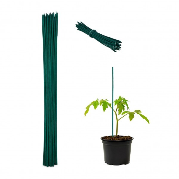 Relaxdays - Grüner Pflanzenstab 60 cm im 50er Set, Dunkelgrün