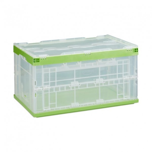 Relaxdays - Transparente Transportbox mit Deckel, Grün/Transparent