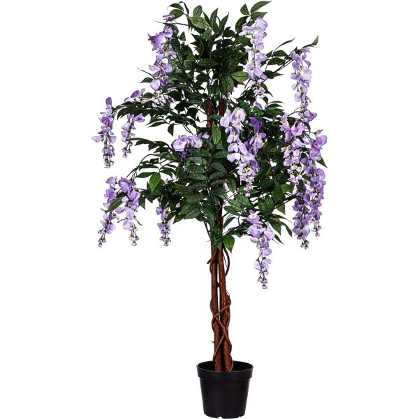 PLANTASIA® - Wisteria Blauregen, 120cm, Violette Blumen®