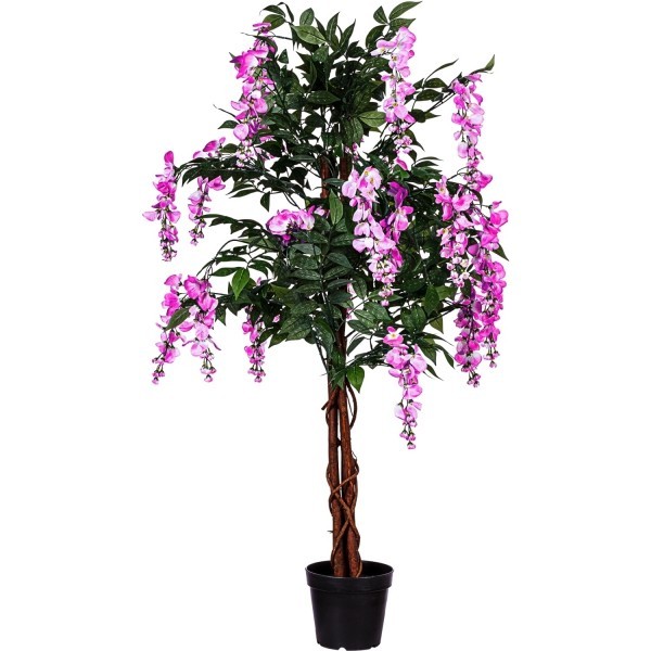 PLANTASIA® - Wisteria, 120cm, Pinke Blüten