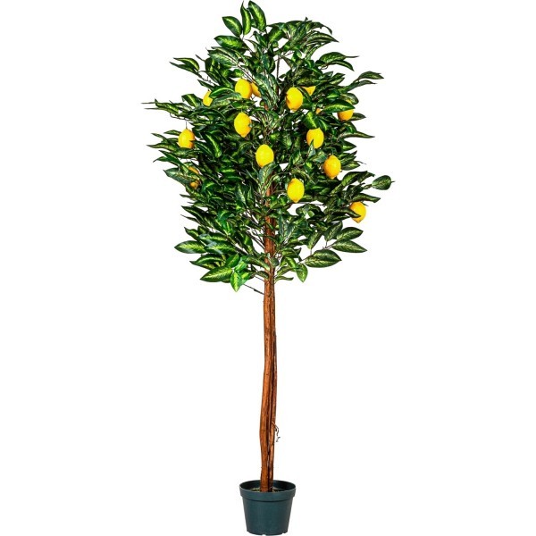 PLANTASIA® - Kunstbaum, Zitronenbaum 184cm